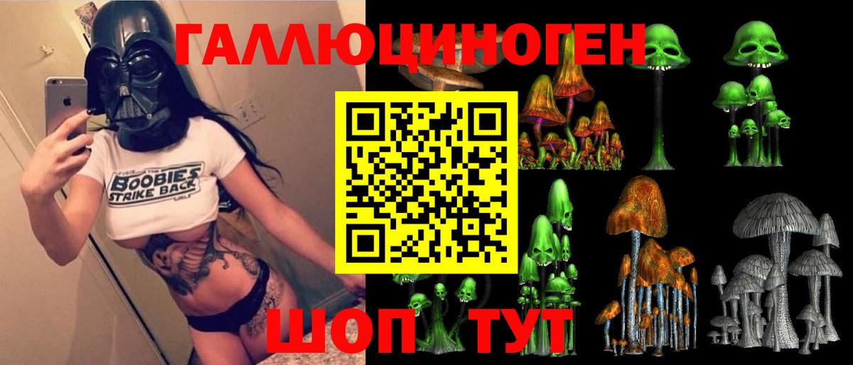 Корсаков  Псилоцибиновые грибы прущие грибы  Вход с VPN 